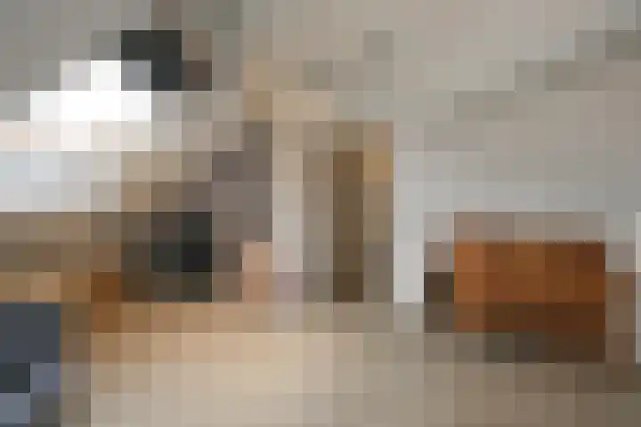 van Eedenstraat 19 Goor thumbnail 16