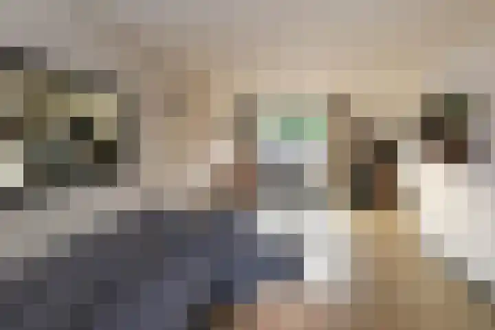 van Eedenstraat 19 Goor thumbnail 5