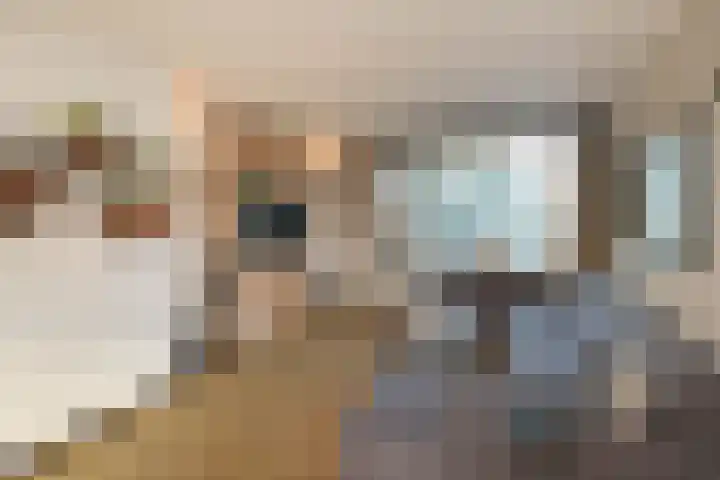 van Eedenstraat 19 Goor thumbnail 7