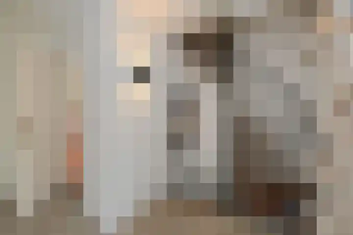 van Eedenstraat 19 Goor thumbnail 8