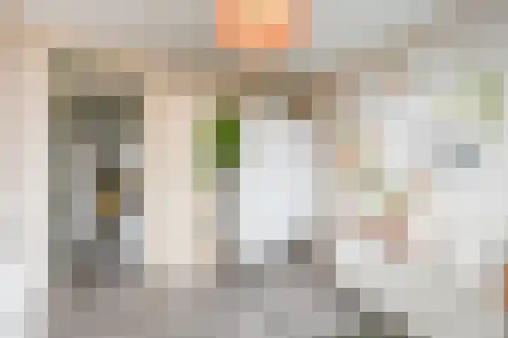 Van Eedenstraat 2 Maassluis thumbnail 26