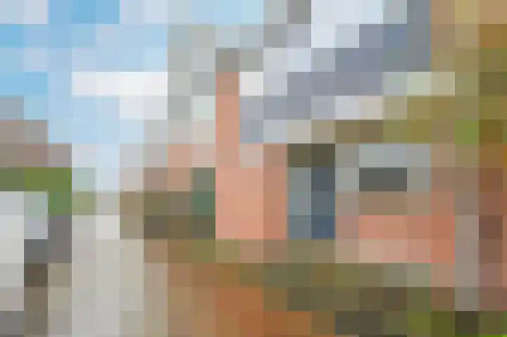 Van Eedenstraat 2 Maassluis thumbnail 33