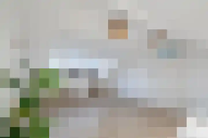 Van Eedenstraat 3 Dordrecht thumbnail 41