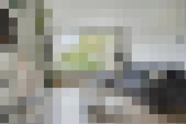 Van Eedenstraat 34 Ridderkerk thumbnail 6