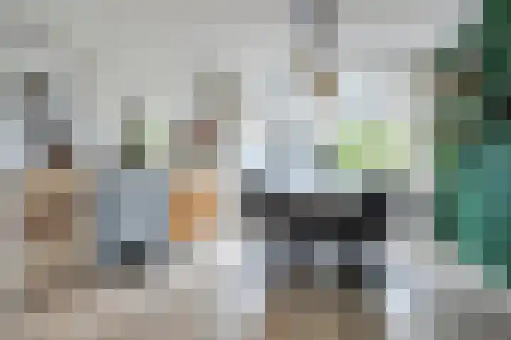 Van Eedenstraat 34 Ridderkerk thumbnail 8