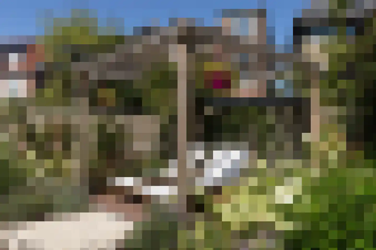 Van Eedenstraat 5 Haarlem thumbnail 31