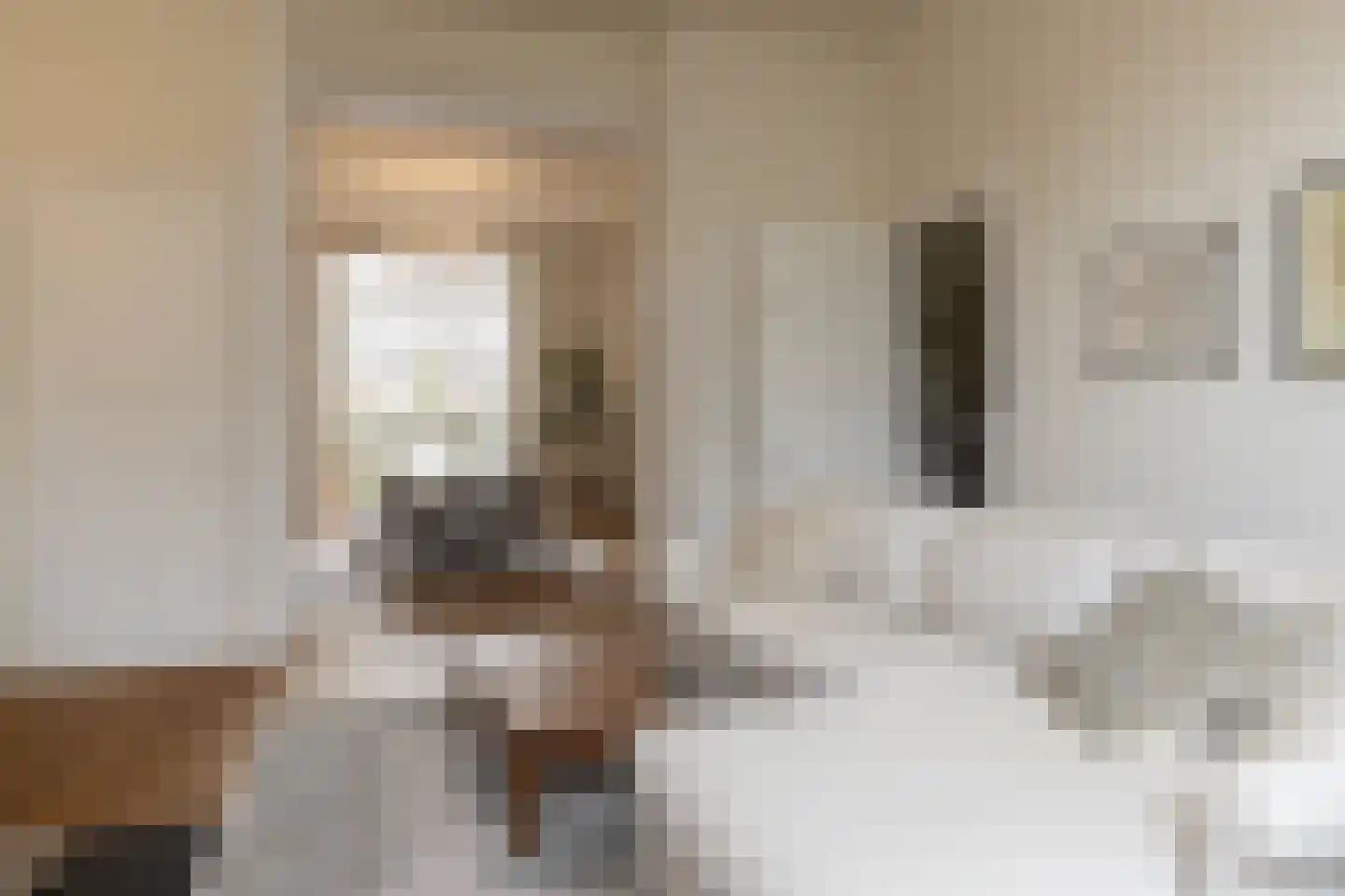 Van Eedenstraat 5 Haarlem thumbnail 9