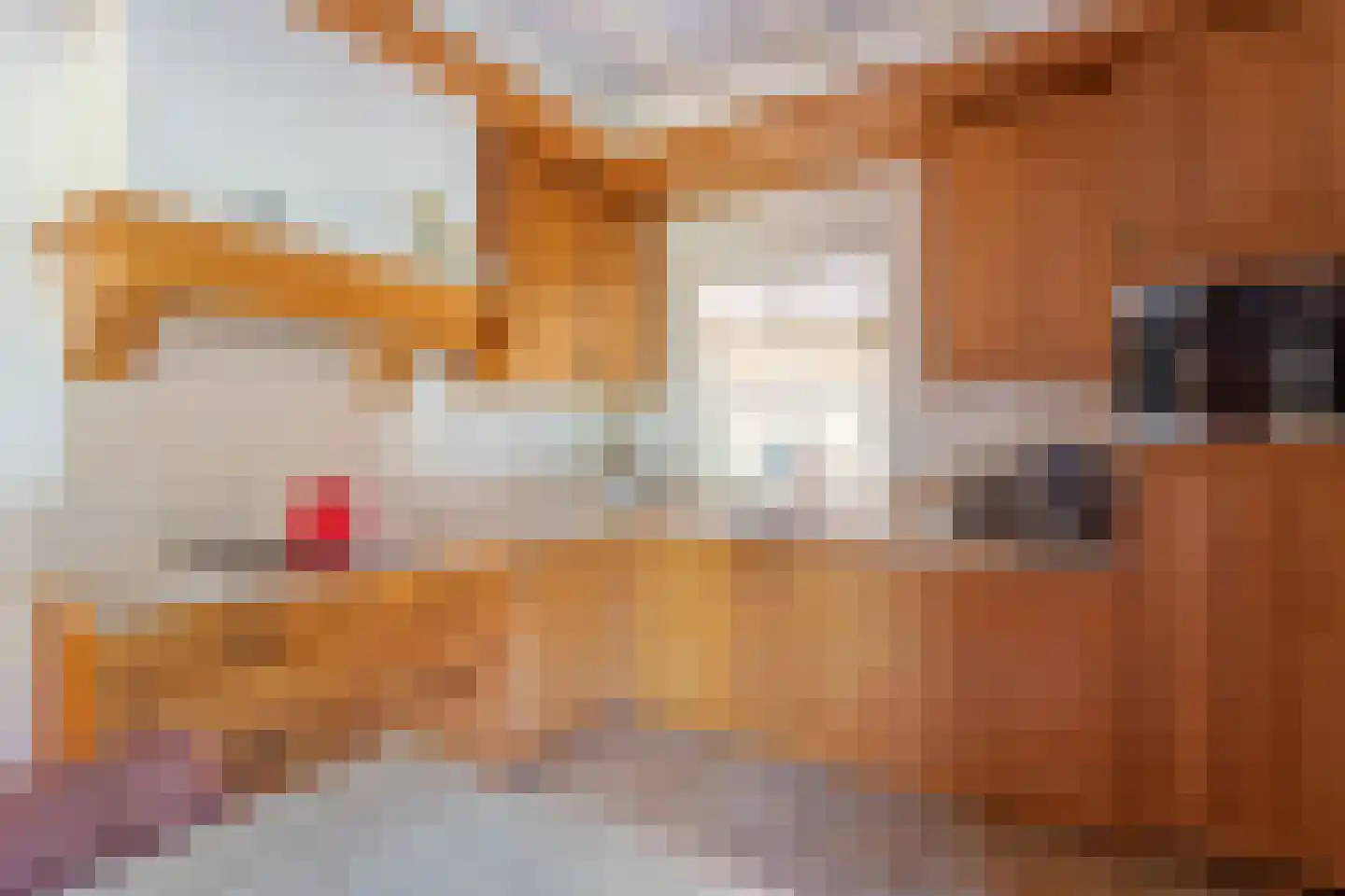 van Eedenstraat 9 Tubbergen thumbnail 12