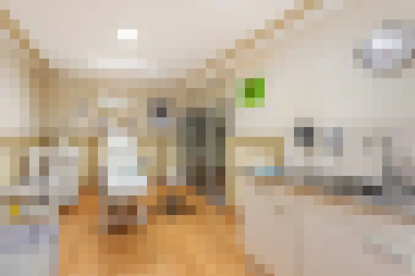 van Eedenstraat 9 Tubbergen thumbnail 14