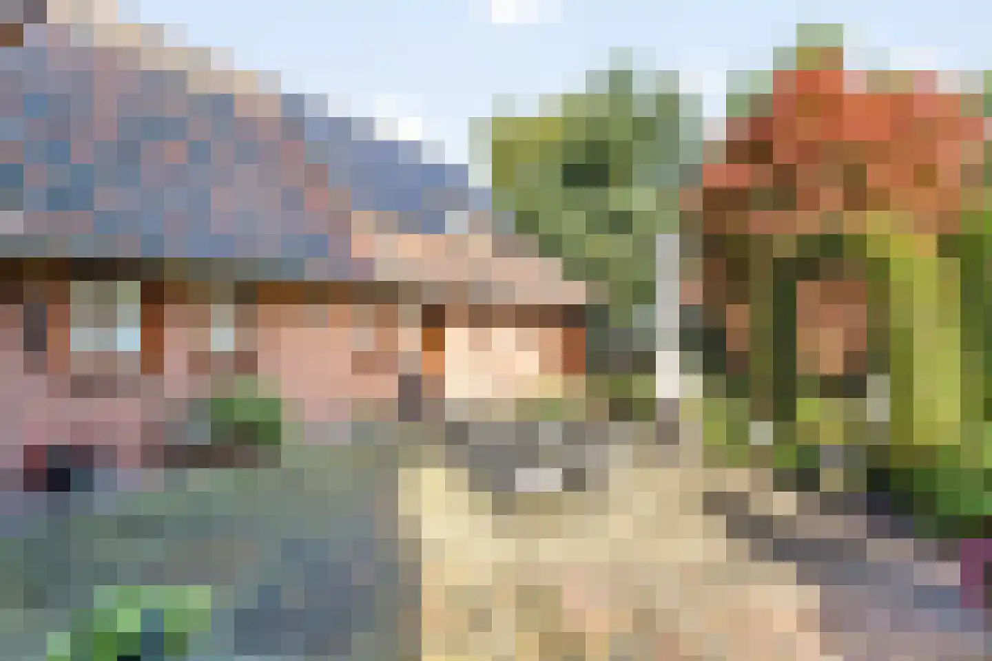 van Eedenstraat 9 Tubbergen thumbnail 21