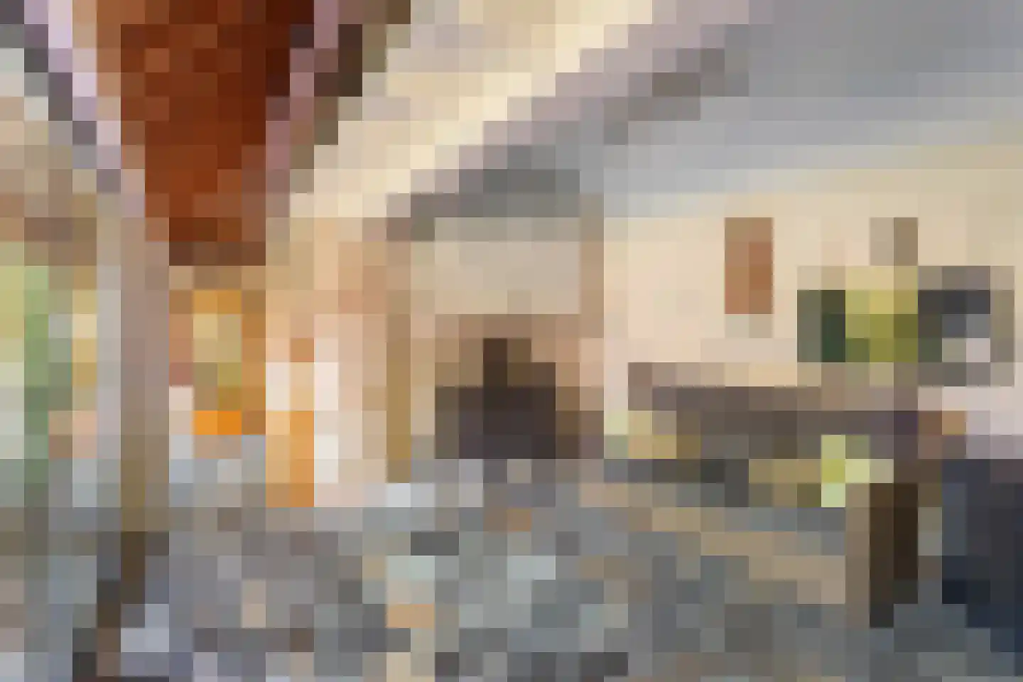 van Eedenstraat 9 Tubbergen thumbnail 24