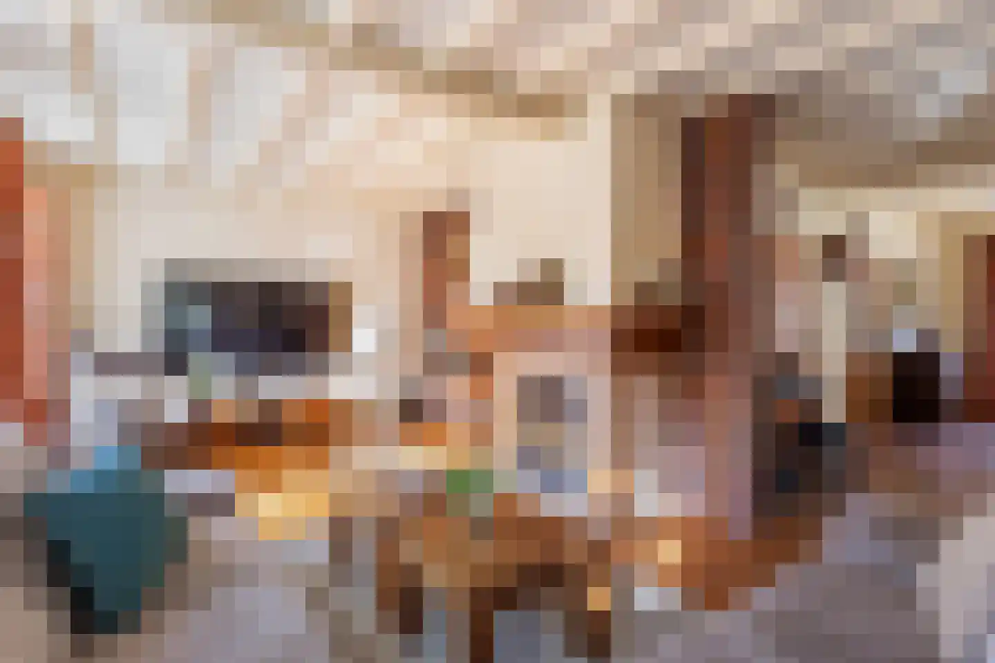 van Eedenstraat 9 Tubbergen thumbnail 8