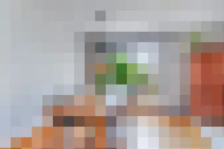 Van Eedenstrjitte 38 Nij Beets thumbnail 18