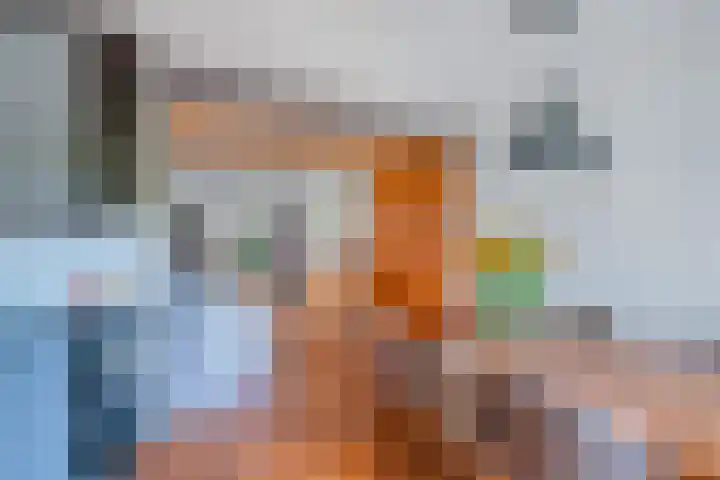 Van Eedenstrjitte 38 Nij Beets thumbnail 20