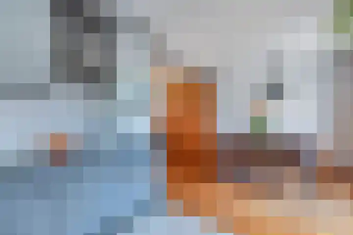 Van Eedenstrjitte 38 Nij Beets thumbnail 23
