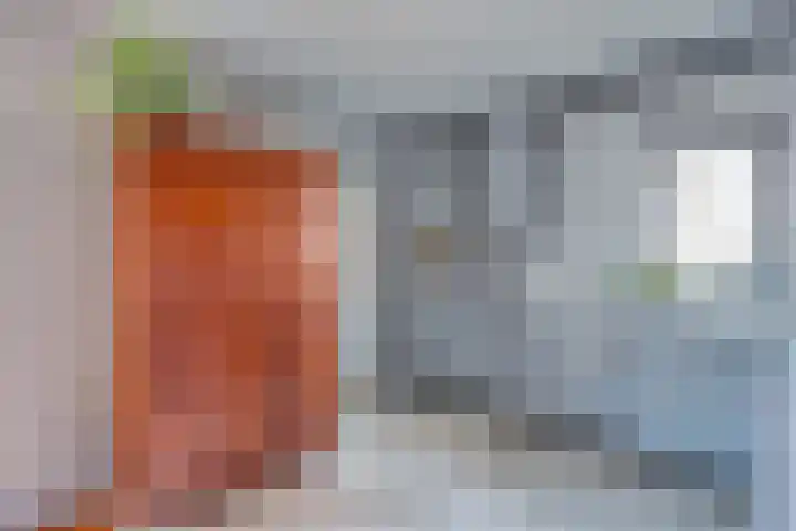 Van Eedenstrjitte 38 Nij Beets thumbnail 24