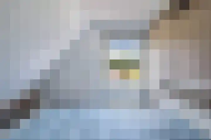 Van Eedenstrjitte 38 Nij Beets thumbnail 30