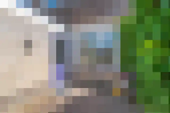 Van Eedenstrjitte 38 Nij Beets thumbnail 42