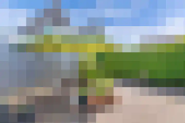 Van Eedenstrjitte 38 Nij Beets thumbnail 45