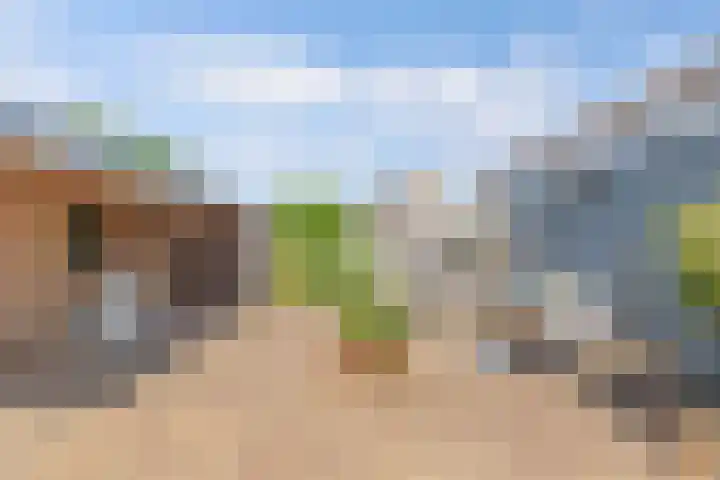 Van Eedenstrjitte 38 Nij Beets thumbnail 48