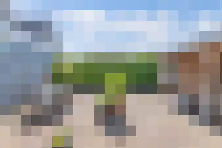 Van Eedenstrjitte 38 Nij Beets thumbnail 52