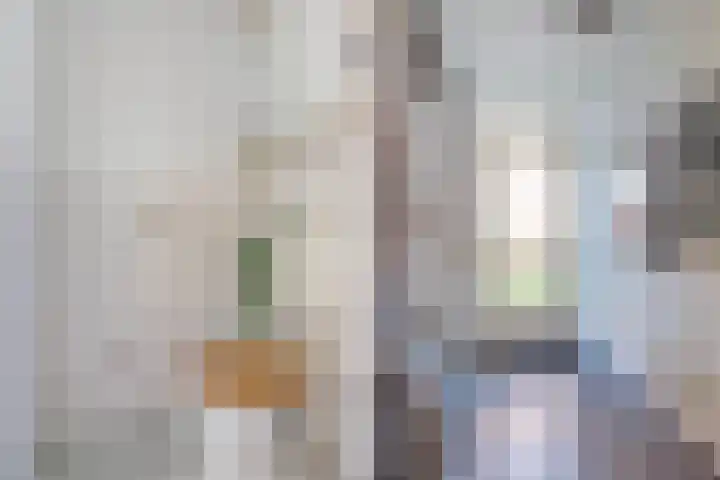 Van Eedenstrjitte 38 Nij Beets thumbnail 8