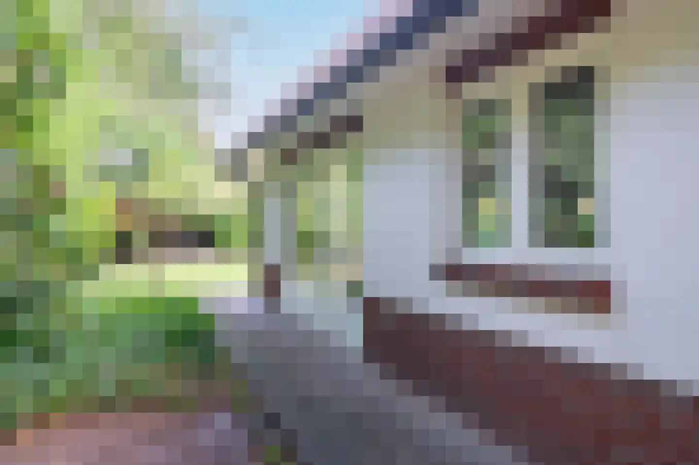 van Eeghenlaan 15 A Putten thumbnail 10