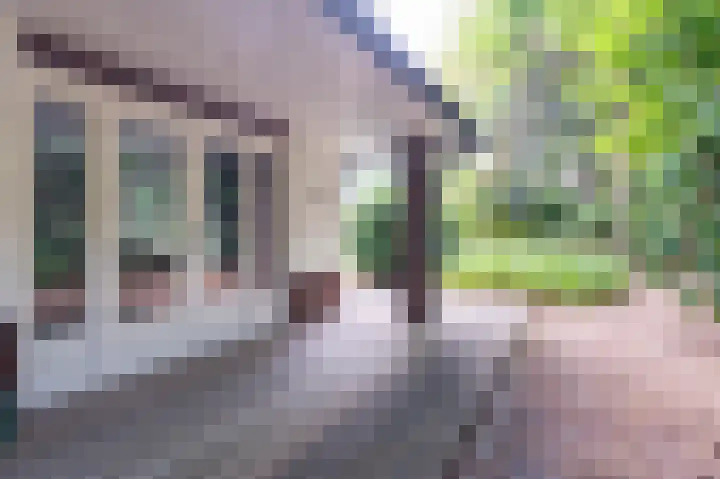 van Eeghenlaan 15 A Putten thumbnail 11