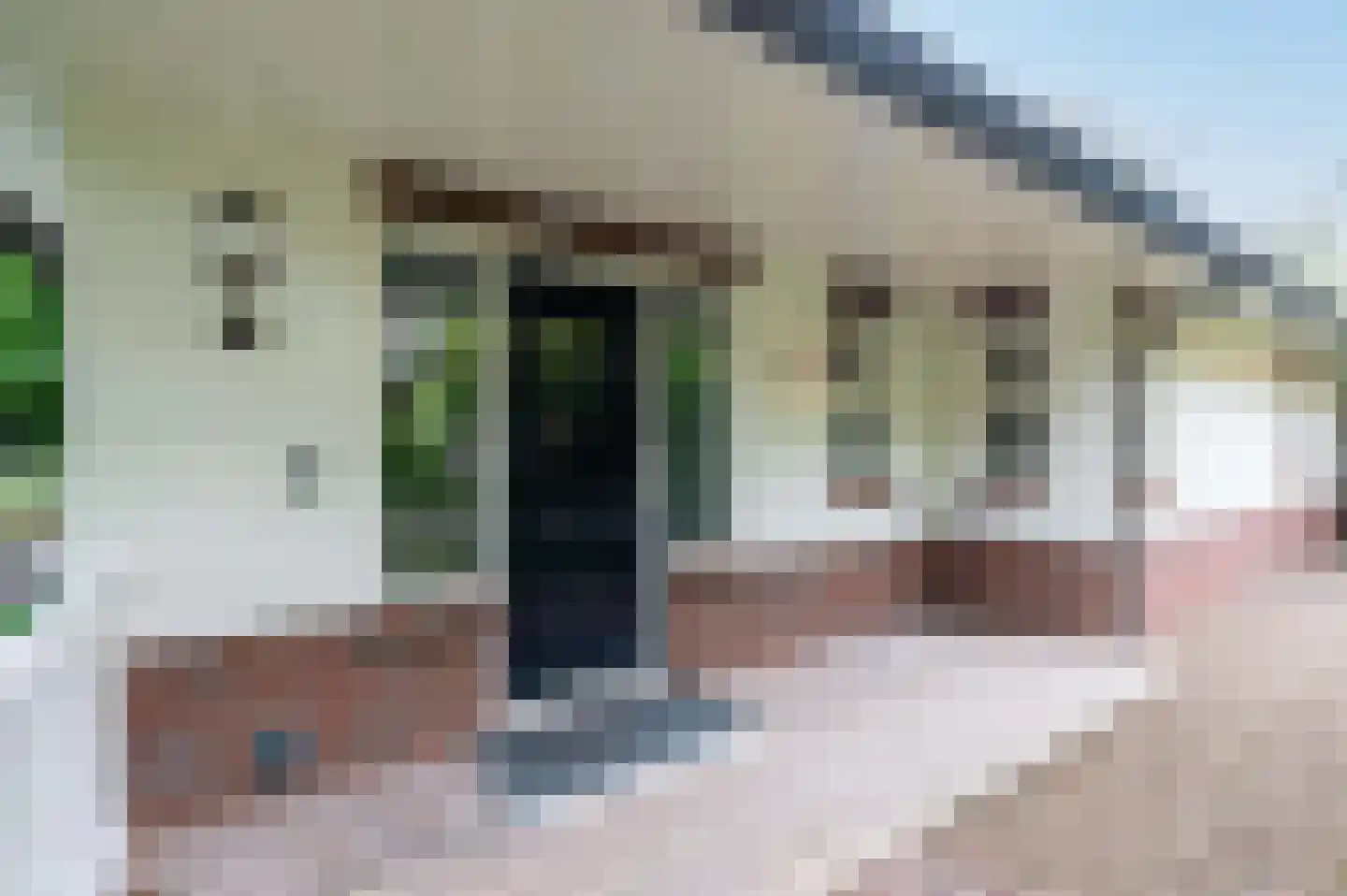 van Eeghenlaan 15 A Putten thumbnail 12