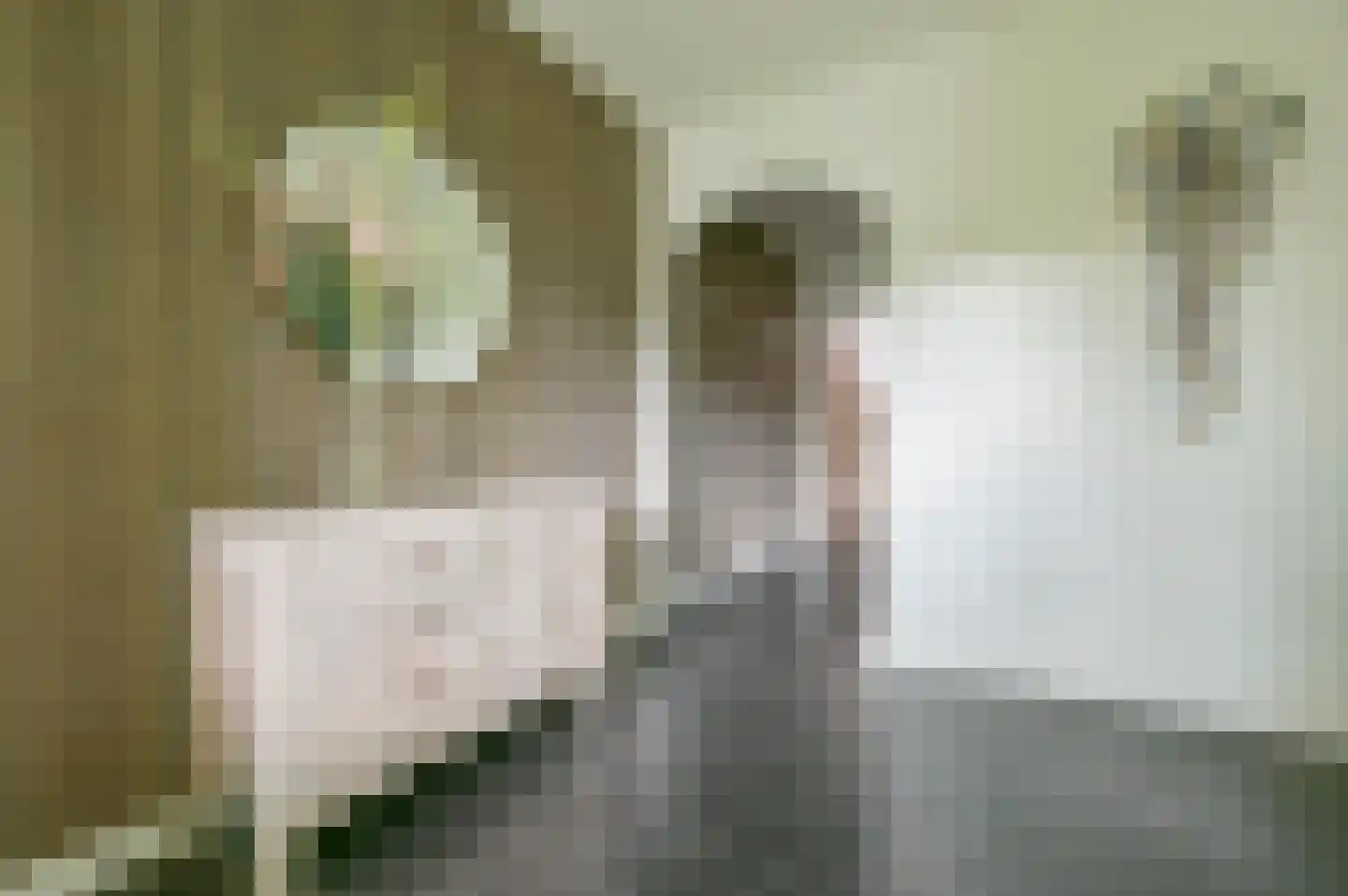 van Eeghenlaan 15 A Putten thumbnail 15