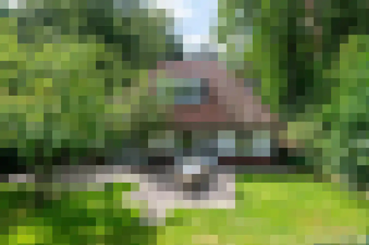 van Eeghenlaan 15 A Putten foto 2