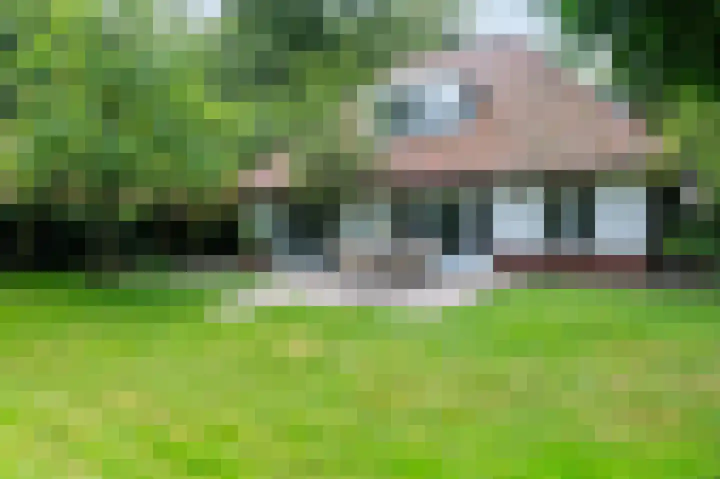 van Eeghenlaan 15 A Putten thumbnail 60
