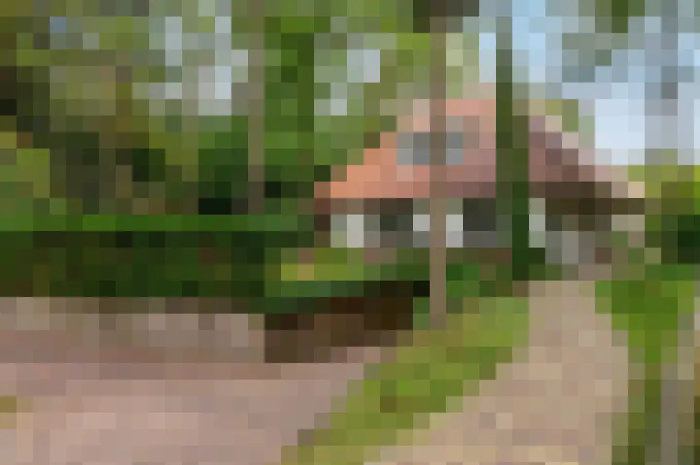 van Eeghenlaan 15 A Putten thumbnail 7