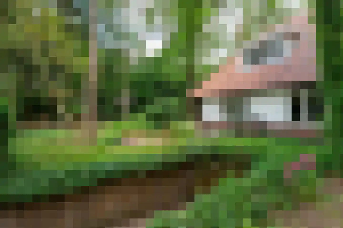 van Eeghenlaan 15 A Putten thumbnail 8