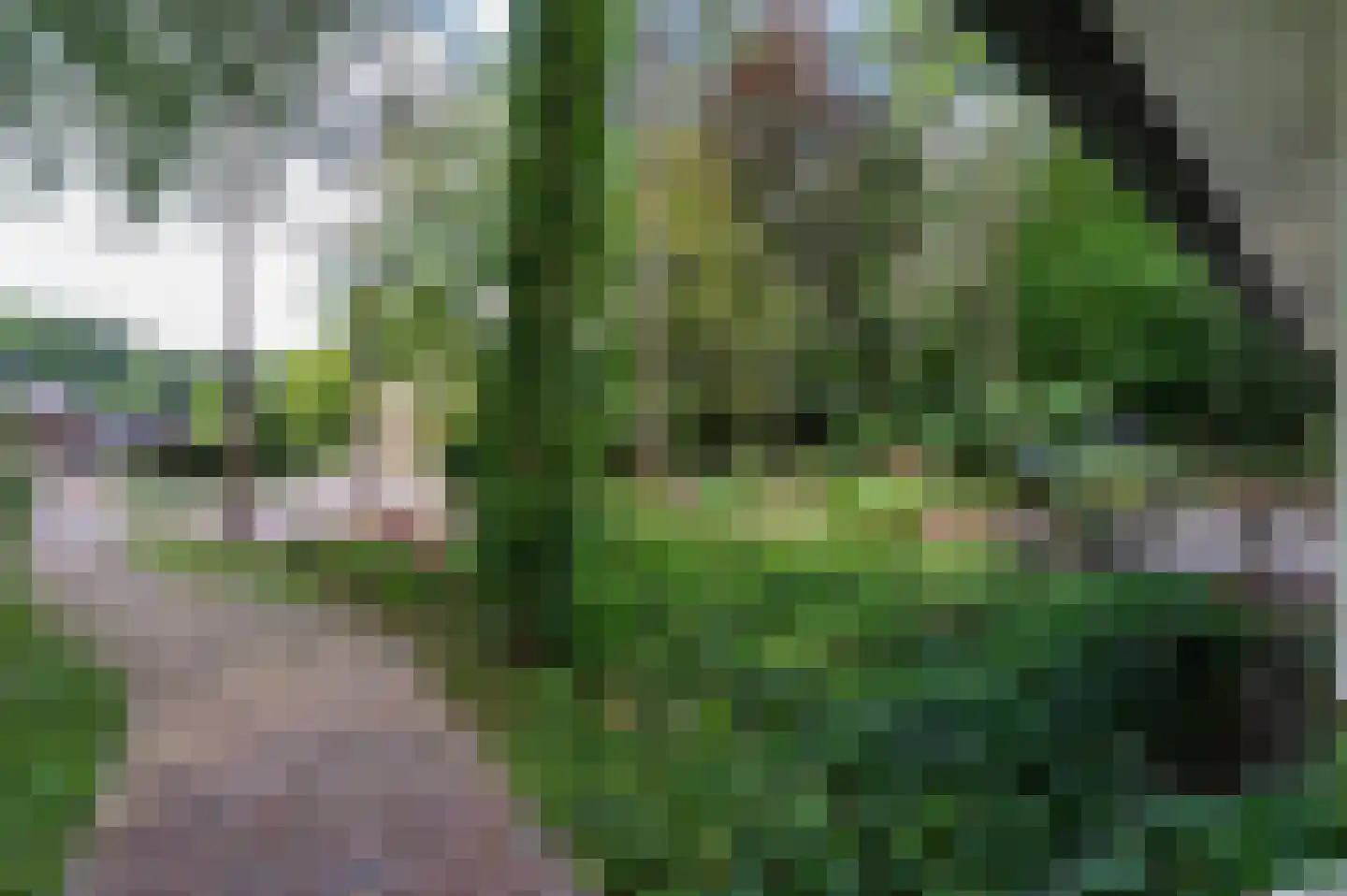van Eeghenlaan 15 A Putten thumbnail 9