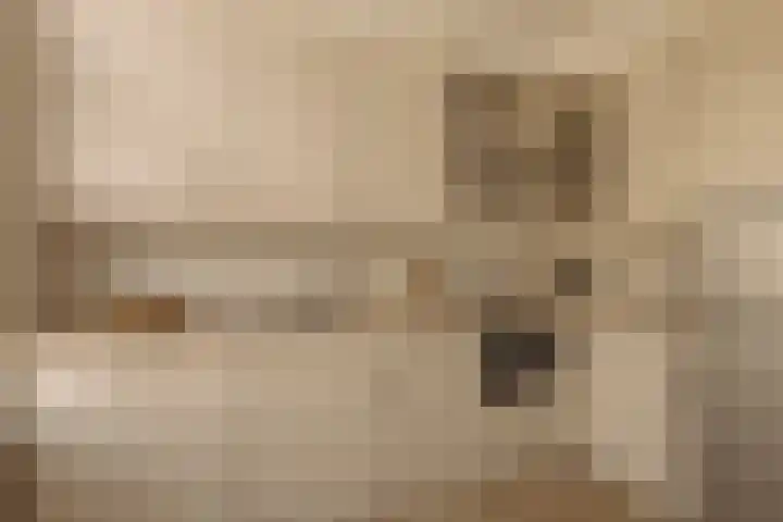 Van Eeghenlaan 2 1 Amsterdam thumbnail 11