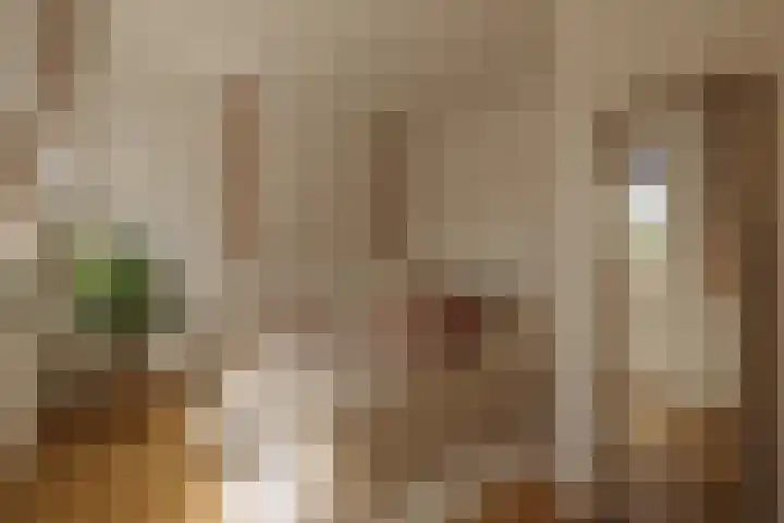 Van Eeghenlaan 2 1 Amsterdam thumbnail 16