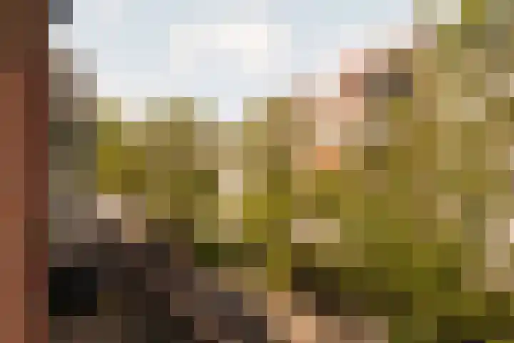 Van Eeghenlaan 2 1 Amsterdam thumbnail 7