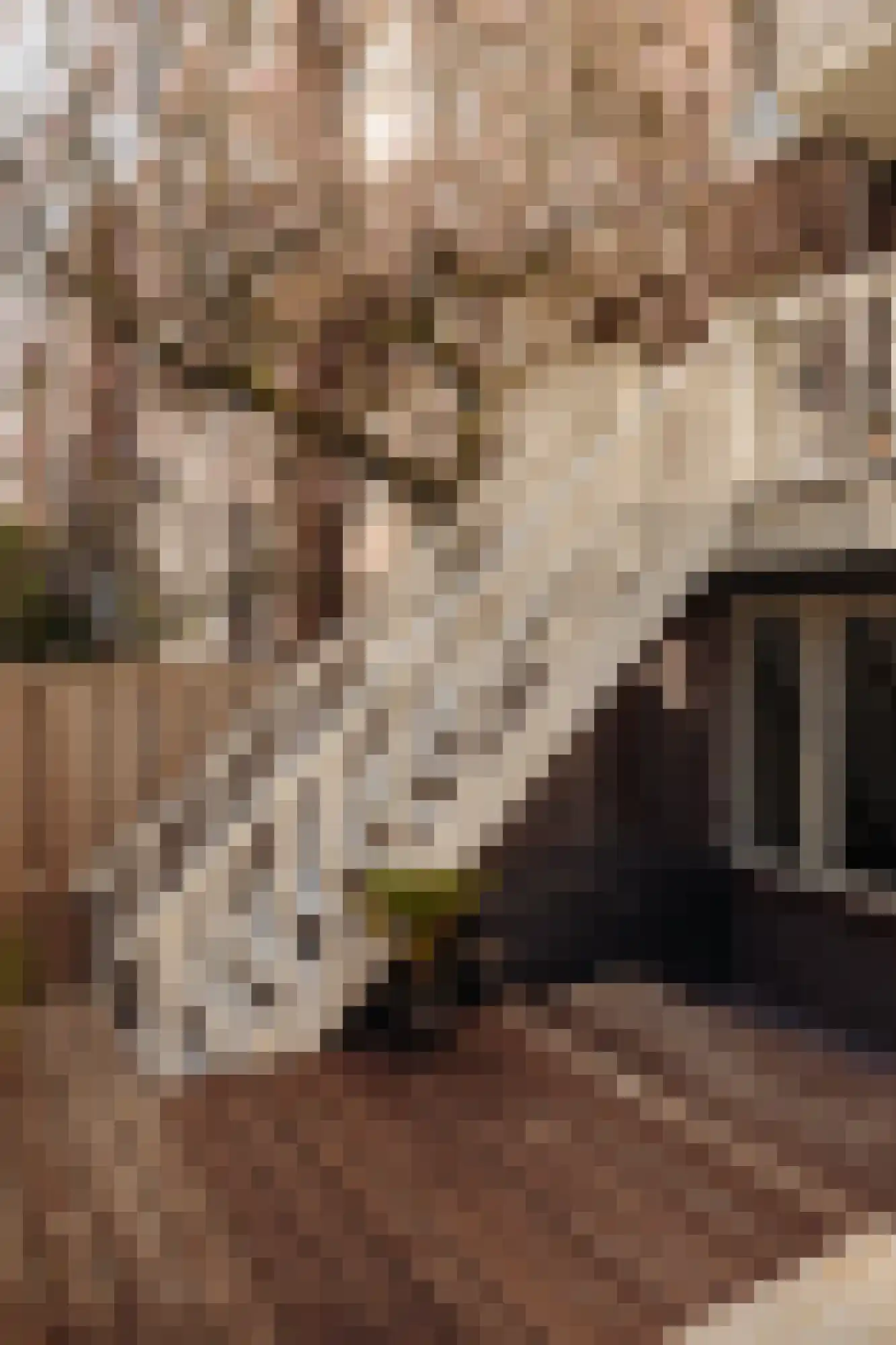 Van Eeghenlaan 28 Amsterdam thumbnail 23