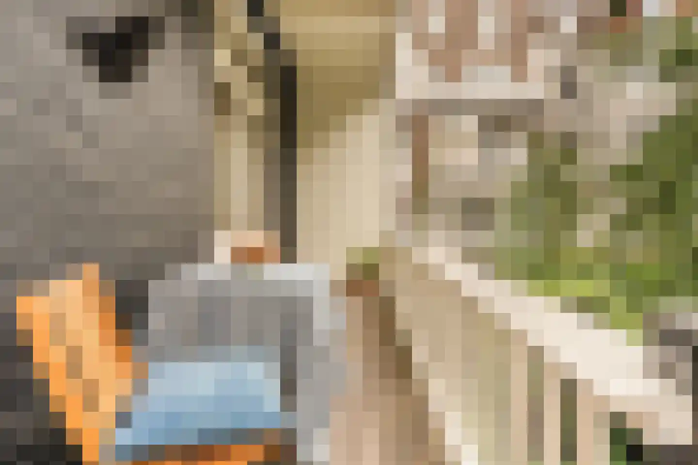 Van Eeghenlaan 4 O Amsterdam thumbnail 12