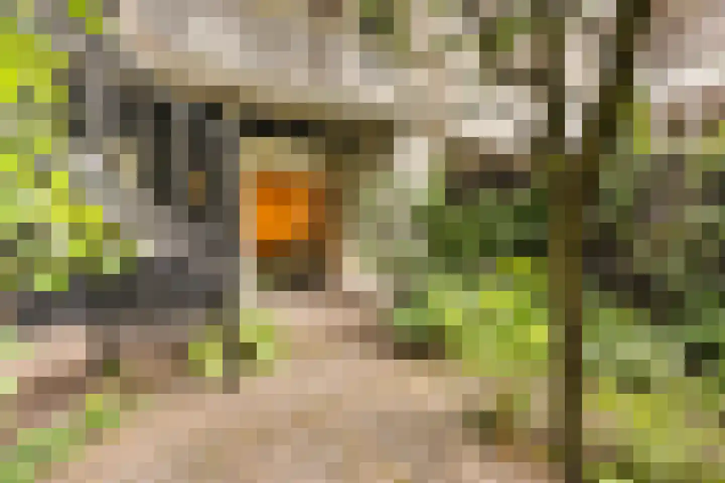 Van Eeghenlaan 4 O Amsterdam thumbnail 13