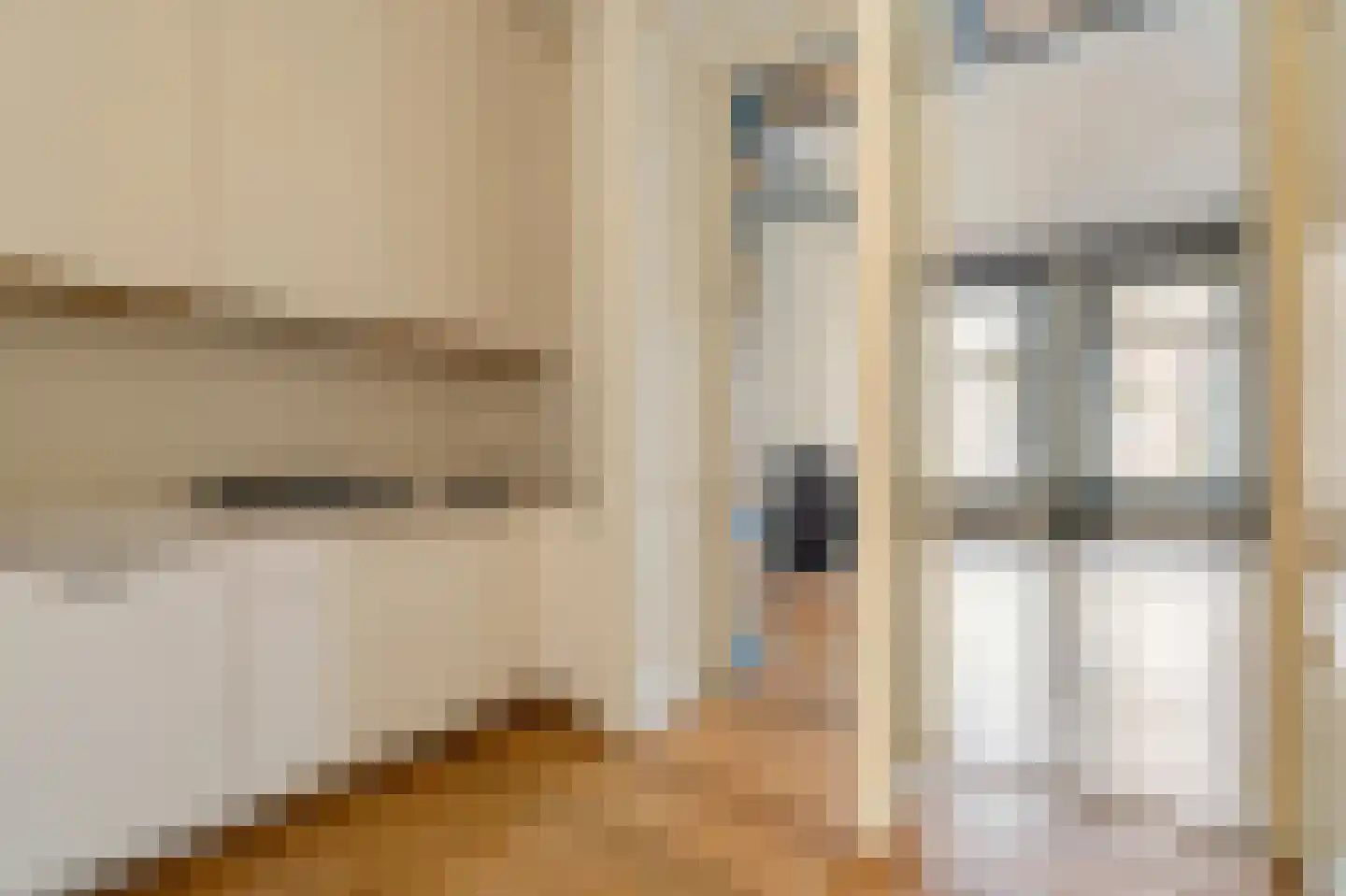 Van Eeghenstraat 117 B Amsterdam thumbnail 20
