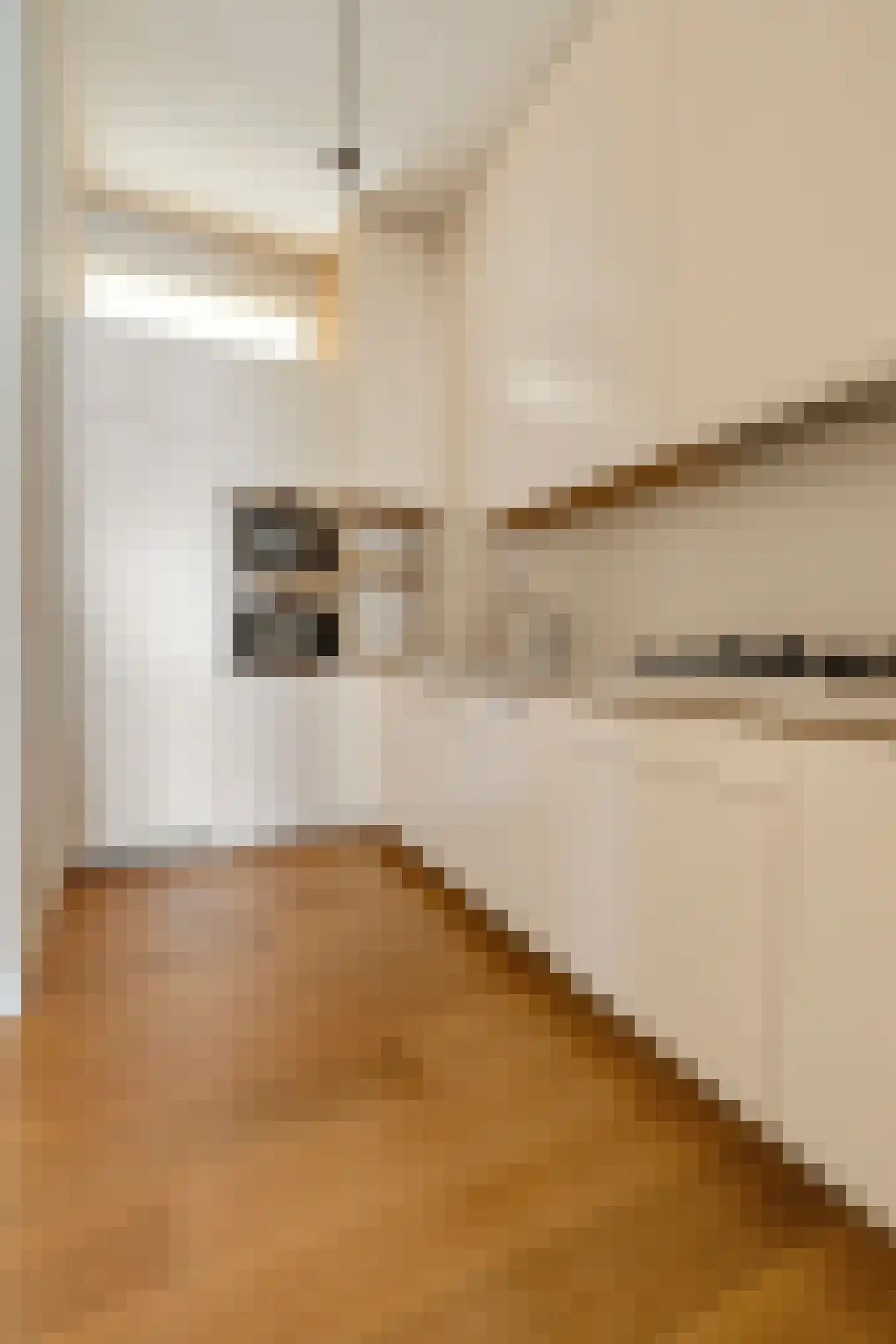 Van Eeghenstraat 117 B Amsterdam thumbnail 21