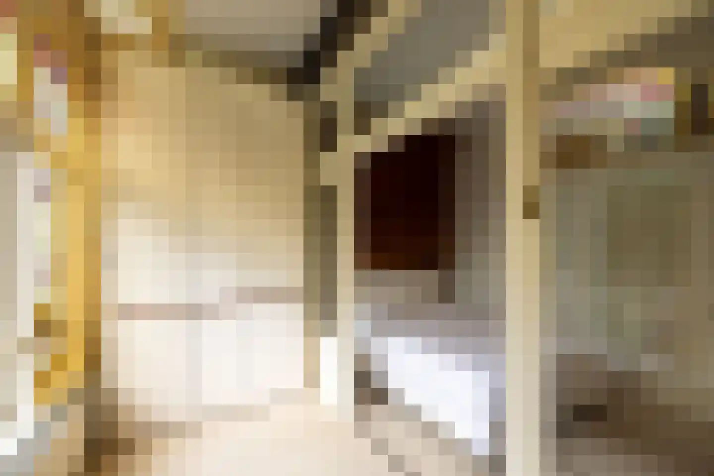 Van Eeghenstraat 117 B Amsterdam thumbnail 22