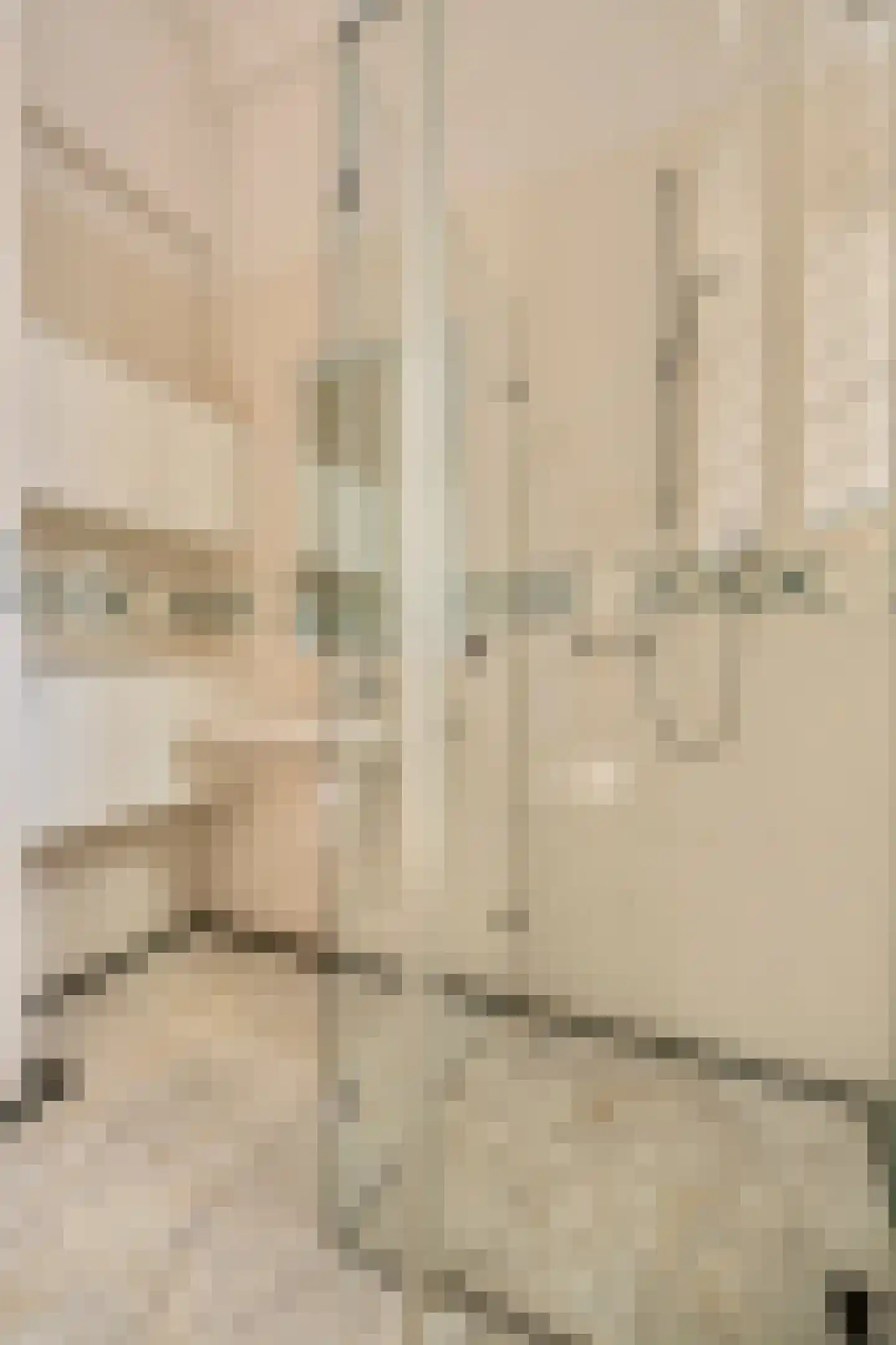 Van Eeghenstraat 117 B Amsterdam thumbnail 32