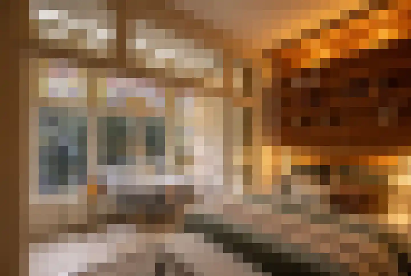 Van Eeghenstraat 117 B Amsterdam thumbnail 39