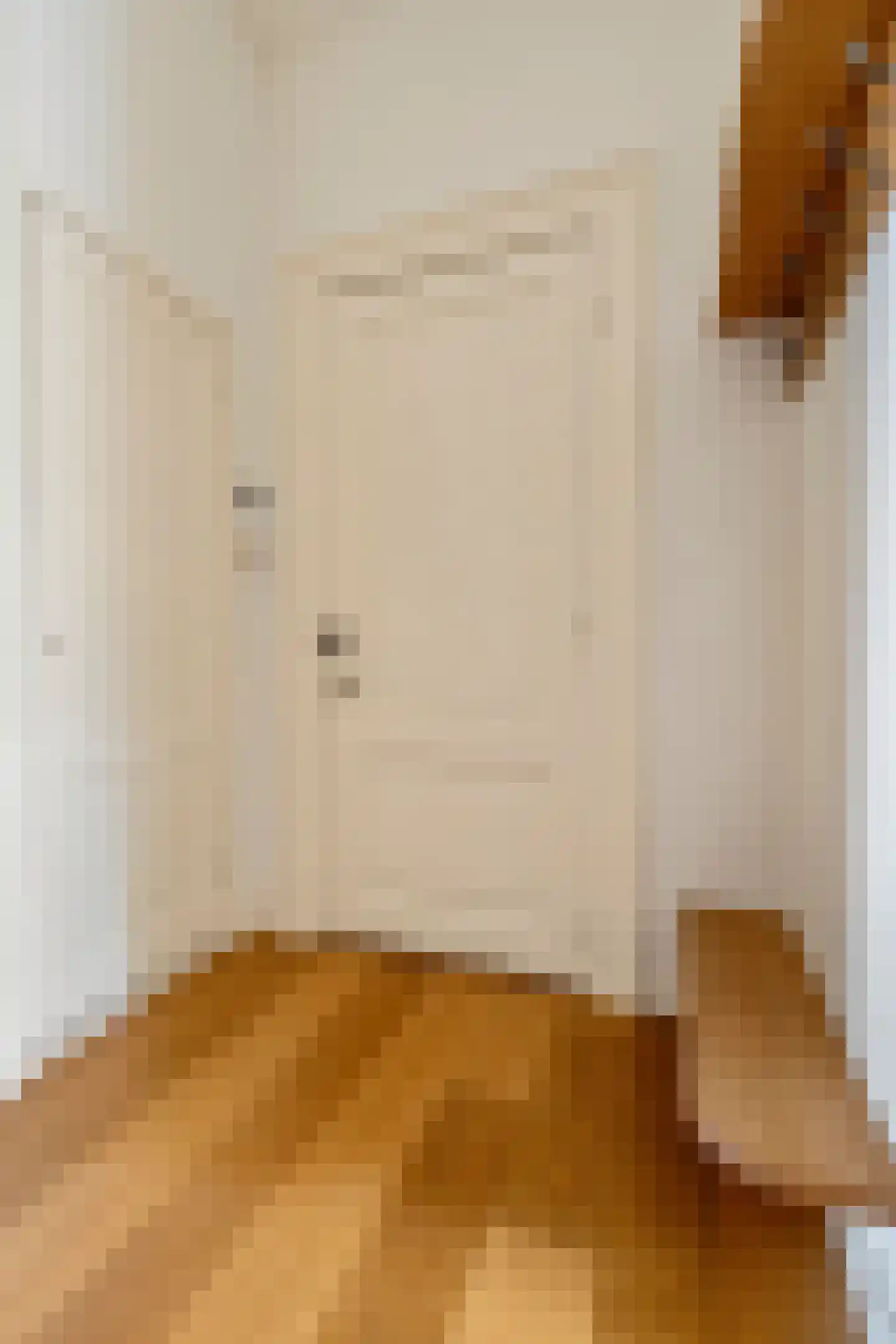 Van Eeghenstraat 117 B Amsterdam thumbnail 9