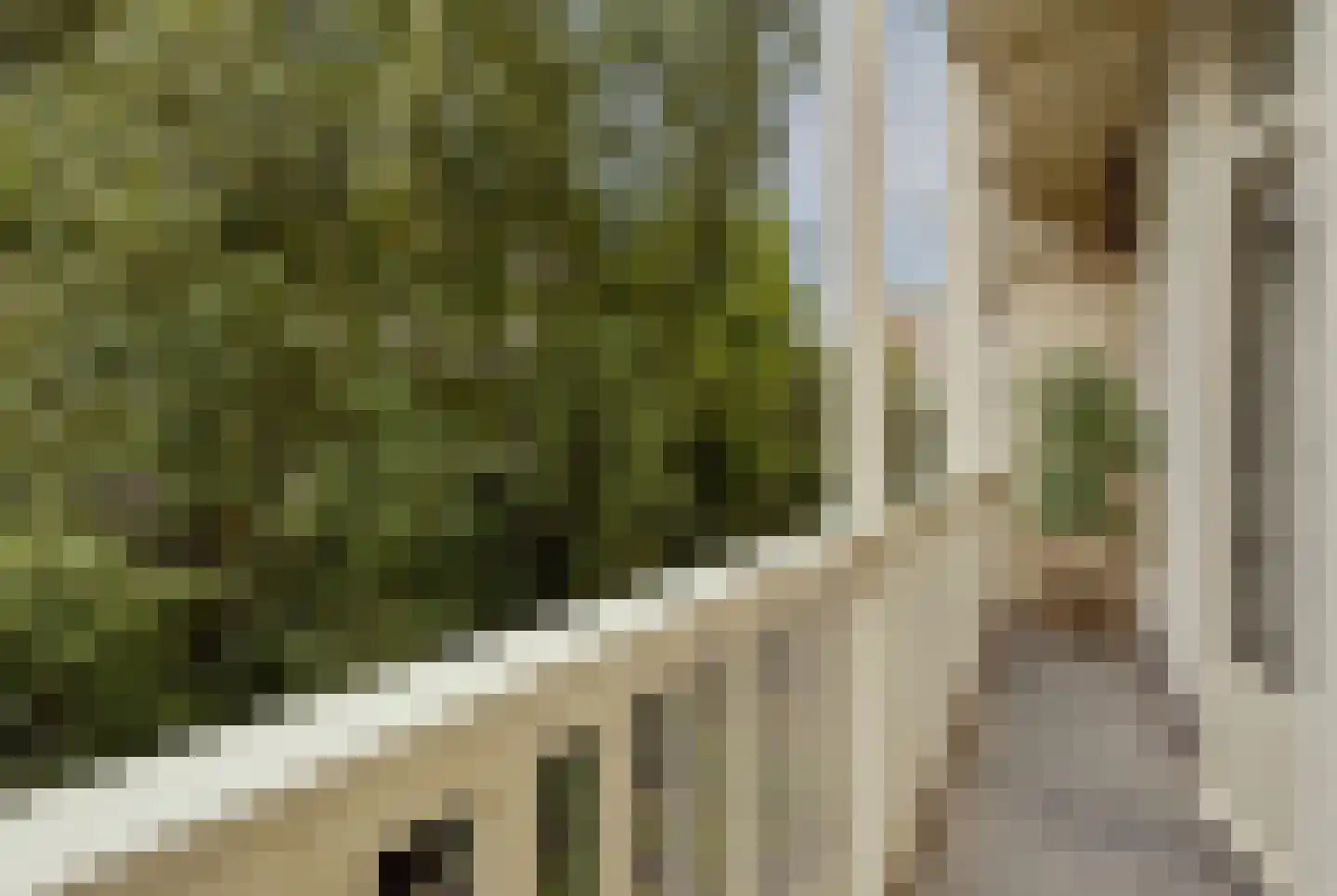 Van Eeghenstraat 12 1 Amsterdam thumbnail 22