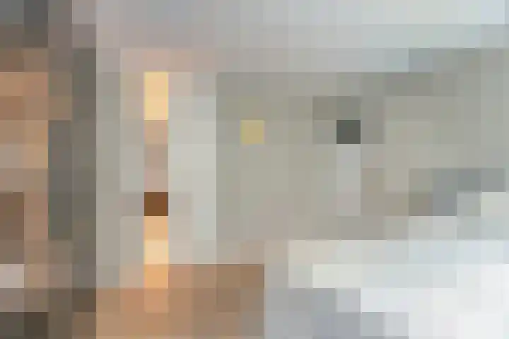 Van Eeghenstraat 12 3 Amsterdam thumbnail 25