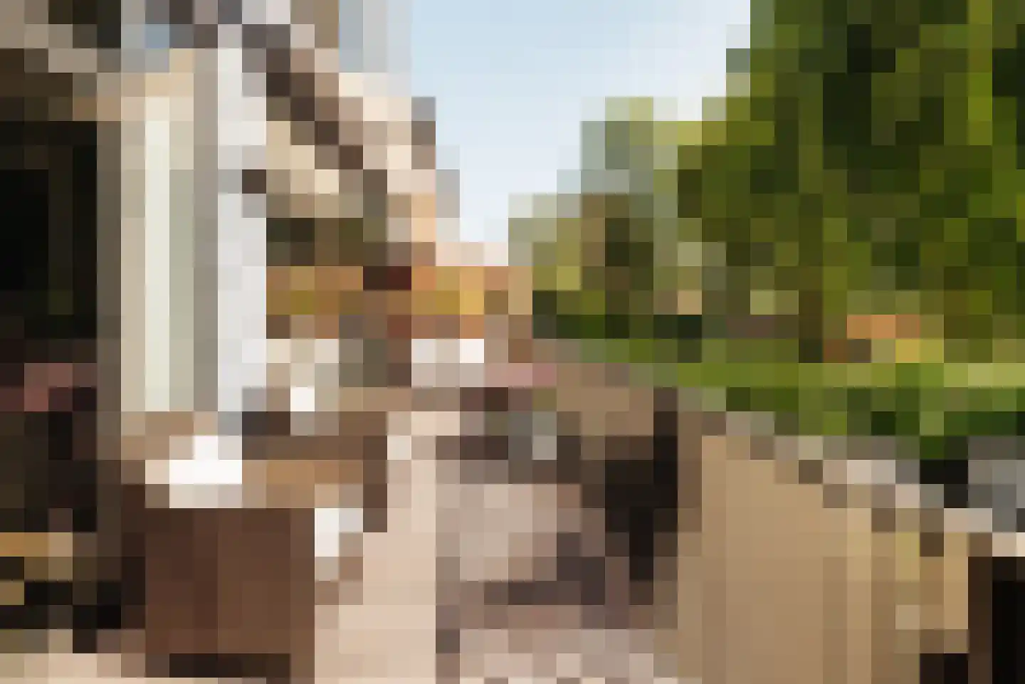 Van Eeghenstraat 125 Amsterdam thumbnail 22